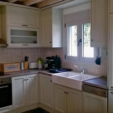 Calma * 帕蒂迪里奥